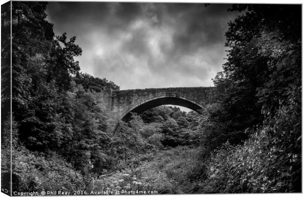 Causey Arch Canvas Print by Phil Reay