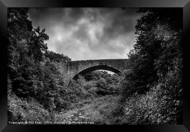 Causey Arch Framed Print by Phil Reay