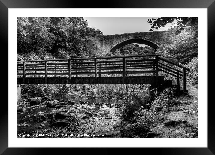 Causey Arch  Framed Mounted Print by Phil Reay