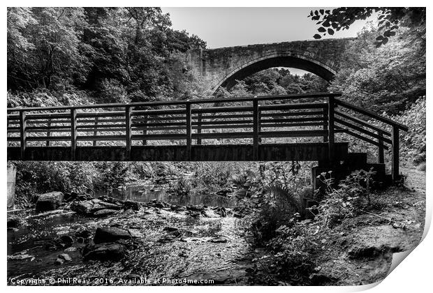 Causey Arch  Print by Phil Reay