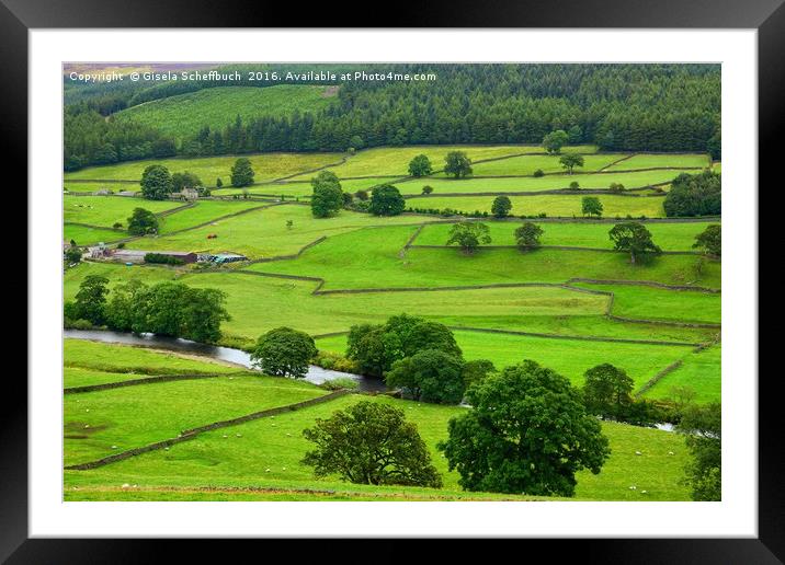 Wharfedale  Framed Mounted Print by Gisela Scheffbuch