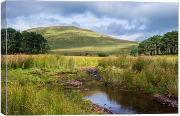 Cribyn from the Upper Neuadd Brecon Beacons Wales Canvas Print by Nick Jenkins