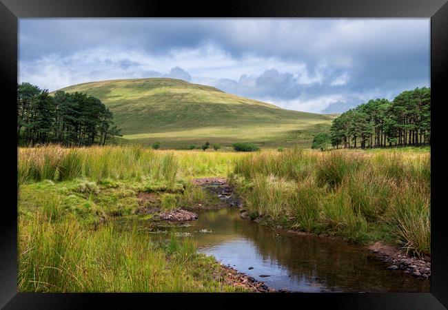 Cribyn from the Upper Neuadd Brecon Beacons Wales Framed Print by Nick Jenkins