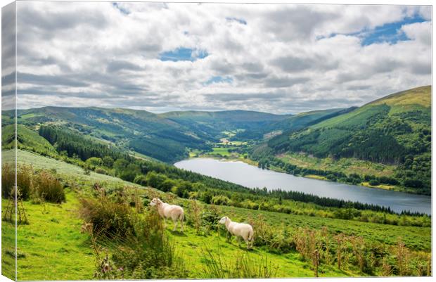 The Talybont Valley and Reservoir Brecon Beacons  Canvas Print by Nick Jenkins