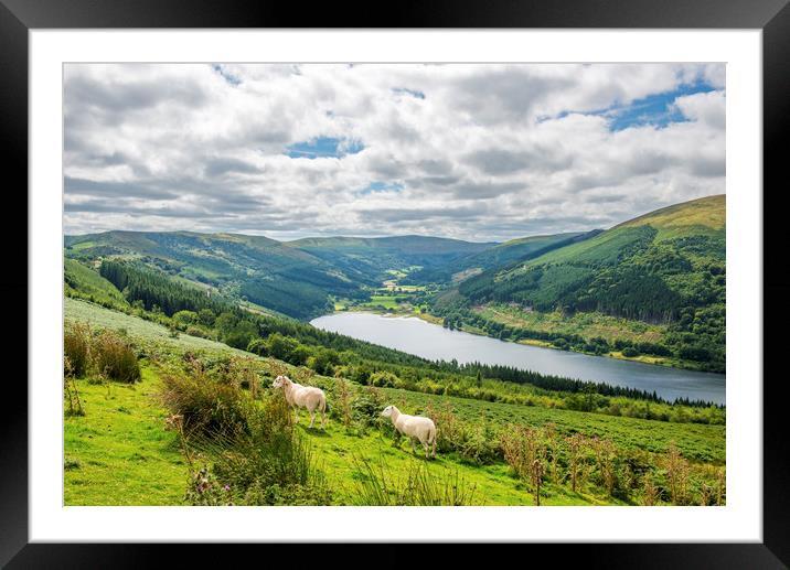 The Talybont Valley and Reservoir Brecon Beacons  Framed Mounted Print by Nick Jenkins