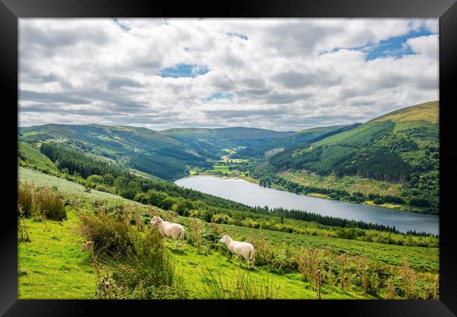 The Talybont Valley and Reservoir Brecon Beacons  Framed Print by Nick Jenkins