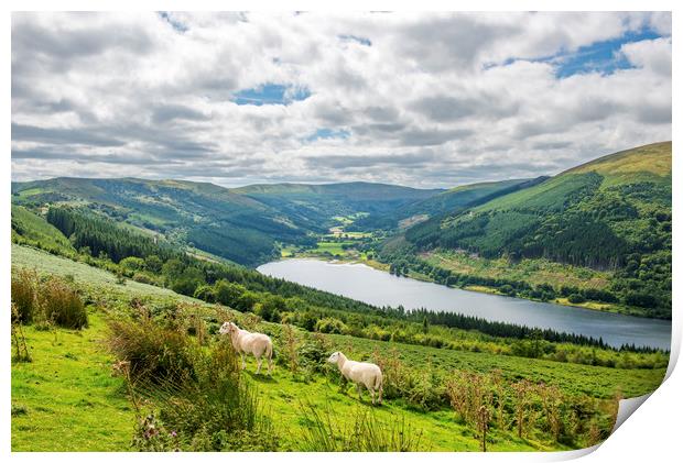 The Talybont Valley and Reservoir Brecon Beacons  Print by Nick Jenkins