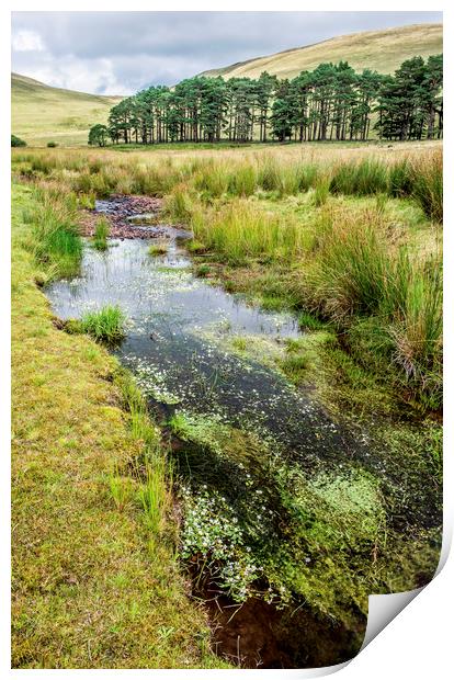 Upper Neuadd Landscape in the Brecon Beacons  Print by Nick Jenkins