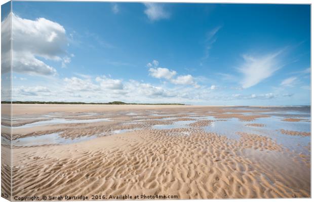 Far as the eye can see, Holkham to Burnham Overy Canvas Print by Sarah Partridge