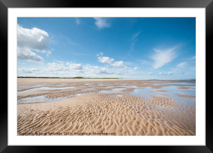 Far as the eye can see, Holkham to Burnham Overy Framed Mounted Print by Sarah Partridge