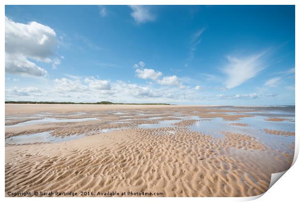 Far as the eye can see, Holkham to Burnham Overy Print by Sarah Partridge
