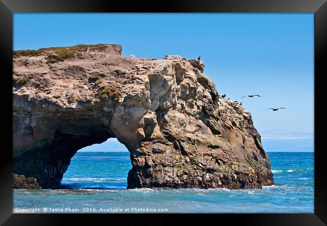 Natural Bridges State Beach in Santa Cruz, Califor Framed Print by Jamie Pham