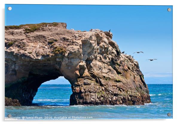 Natural Bridges State Beach in Santa Cruz, Califor Acrylic by Jamie Pham