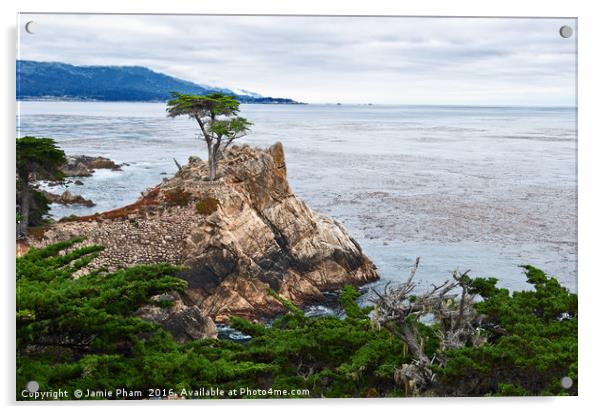 The famous Lone Cypress tree at Pebble Beach in Mo Acrylic by Jamie Pham