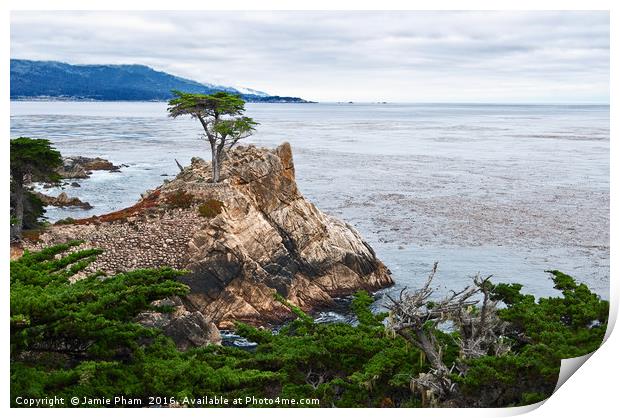 The famous Lone Cypress tree at Pebble Beach in Mo Print by Jamie Pham