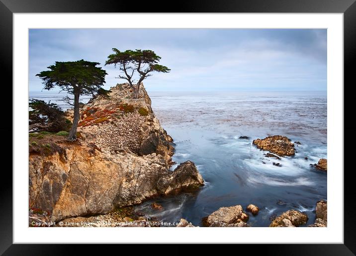 Tree of Dreams - Lone Cypress tree at Pebble Beach Framed Mounted Print by Jamie Pham