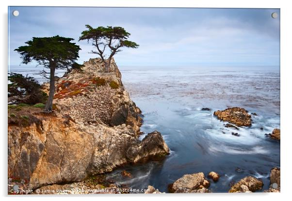 Tree of Dreams - Lone Cypress tree at Pebble Beach Acrylic by Jamie Pham