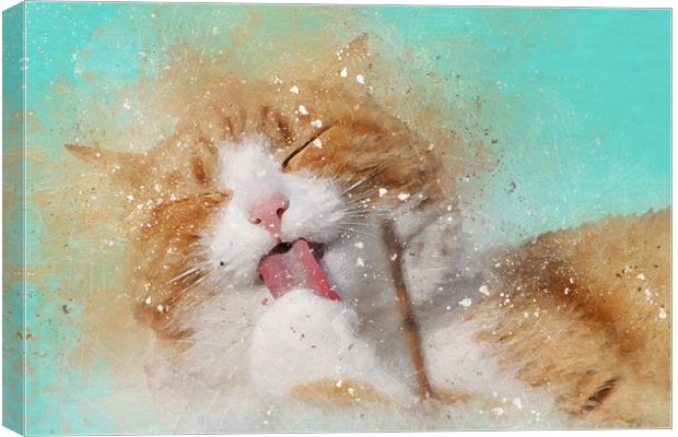 Digitally painted cat with grunge and splatters Canvas Print by Tanya Hall