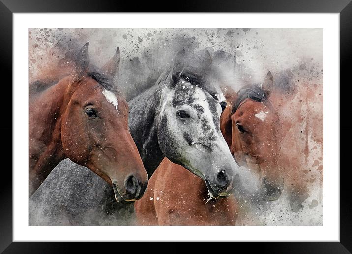 Horse, equine, Digital Watercolor Paint and Grunge Framed Mounted Print by Tanya Hall