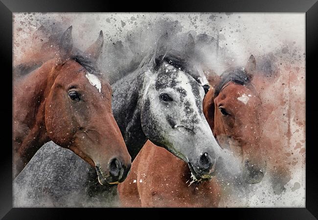 Horse, equine, Digital Watercolor Paint and Grunge Framed Print by Tanya Hall