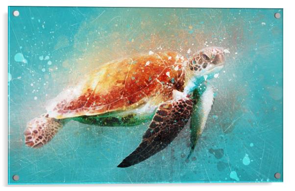 Turtle Watercolor Digital with sketching Acrylic by Tanya Hall