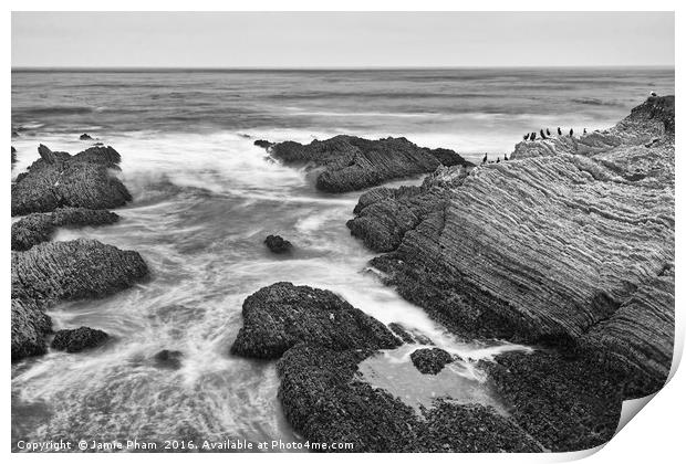 The jagged rocks and cliffs of Montana de Oro Stat Print by Jamie Pham