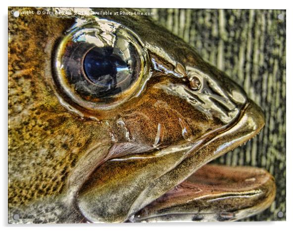 Big Fish Eye Acrylic by Gary Barratt