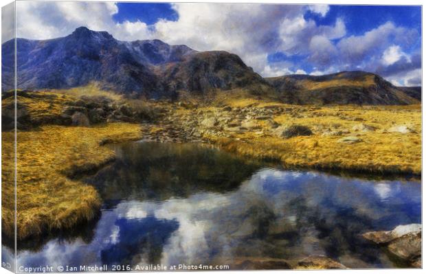 Stream Reflections Canvas Print by Ian Mitchell