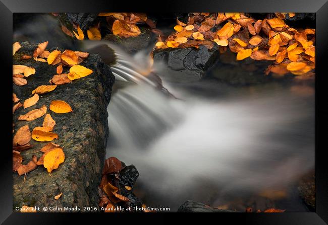 Fallen Leaves and Waterfall Framed Print by Colin Woods
