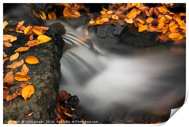 Fallen Leaves and Waterfall Print by Colin Woods