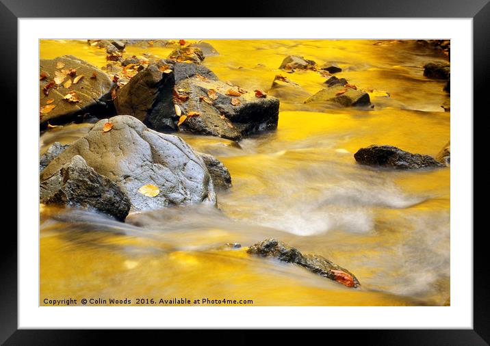 Golden Autumn Light Reflected in A Stream Framed Mounted Print by Colin Woods