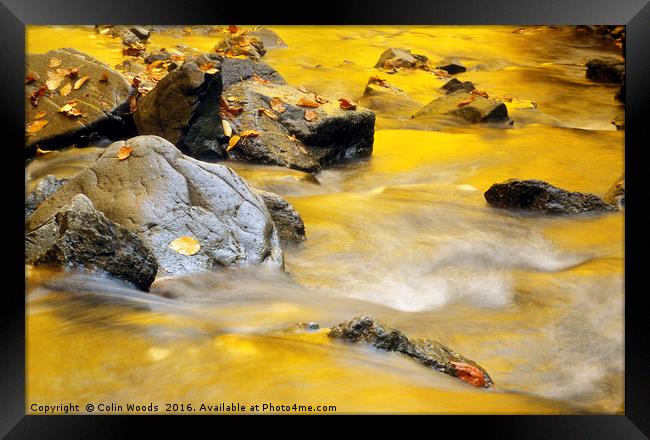 Golden Autumn Light Reflected in A Stream Framed Print by Colin Woods