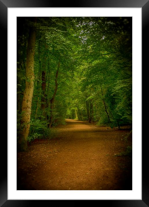 Epping Forest Walk Framed Mounted Print by David French