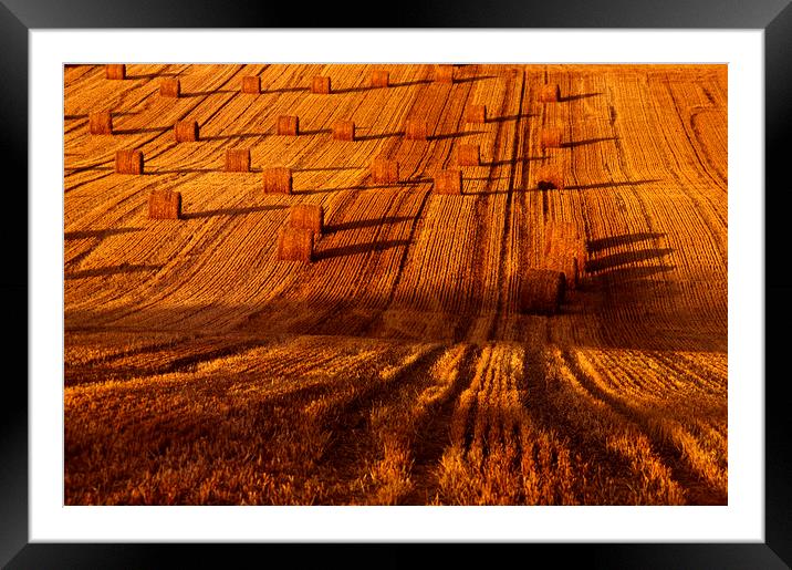 Fields in Autumn Framed Mounted Print by Colin Woods