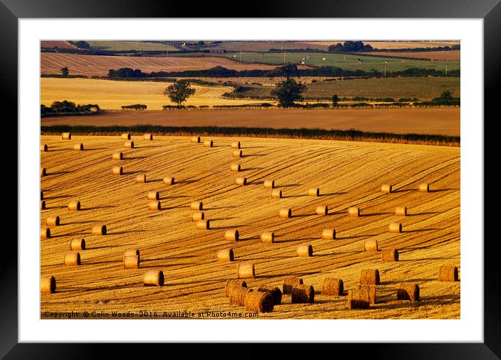 Fields in Autumn Framed Mounted Print by Colin Woods