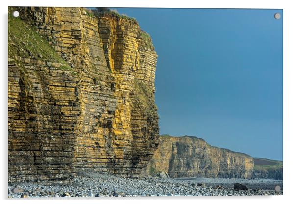 Cliffs Llantwit Major Beach Glamorgan Coast Wales Acrylic by Nick Jenkins