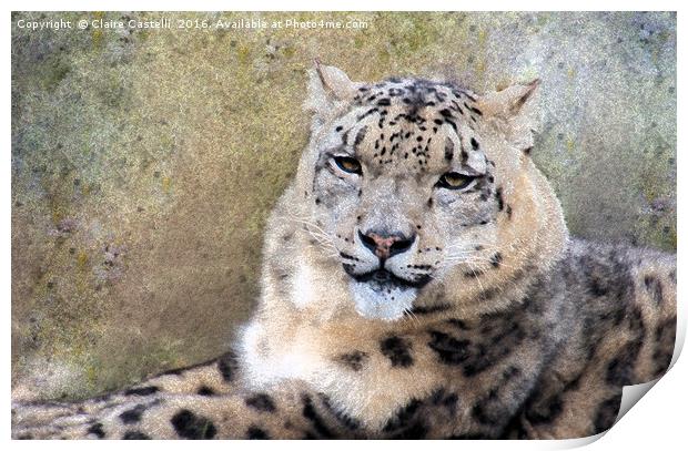 Snow Leopard Print by Claire Castelli