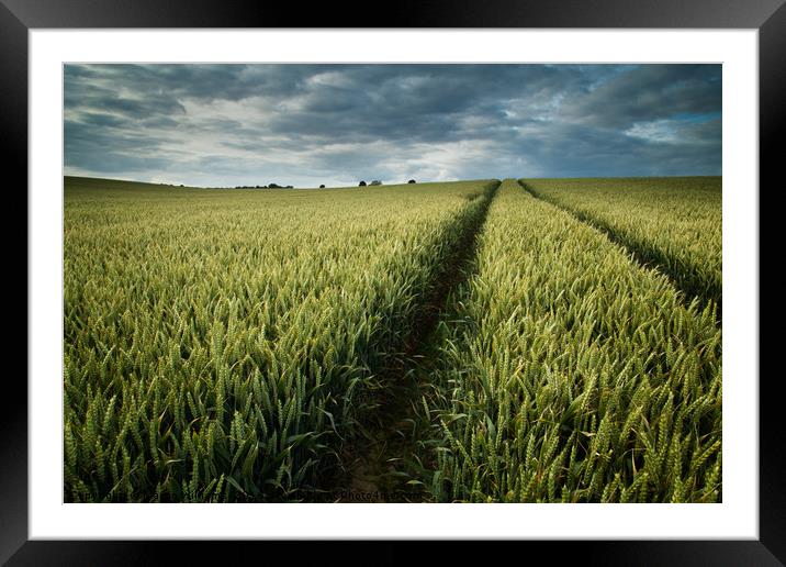Field Trip Framed Mounted Print by Martin Williams