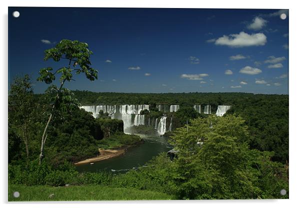 Iguacu Falls Acrylic by Neil Gavin