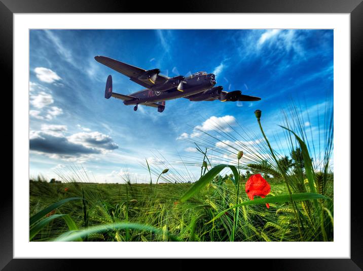 We will remember Framed Mounted Print by Stephen Ward