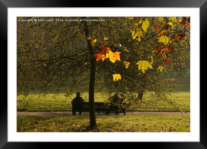 On the bench - Autumn Framed Mounted Print by Sally Lloyd