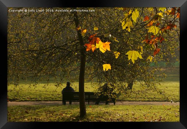 On the bench - Autumn Framed Print by Sally Lloyd