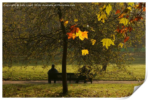 On the bench - Autumn Print by Sally Lloyd