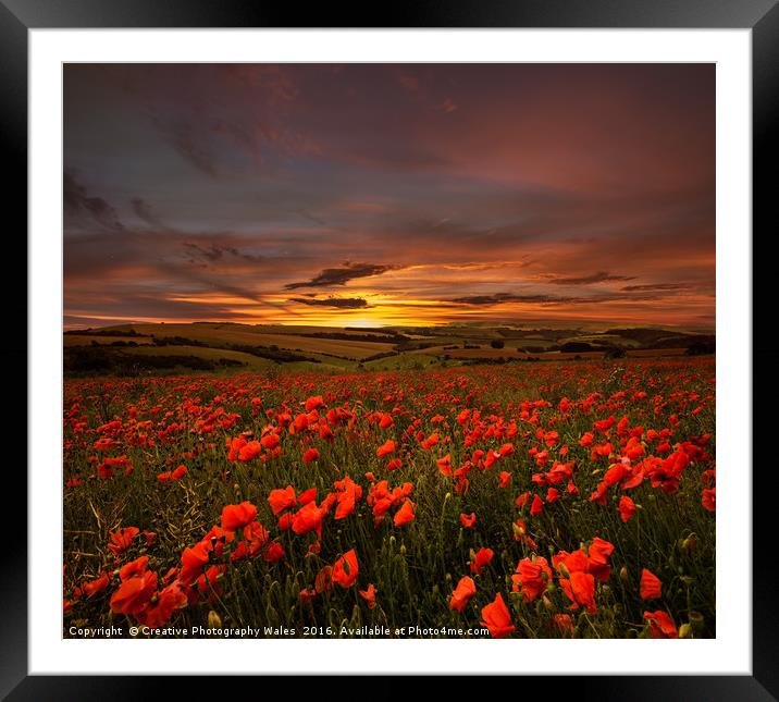 Poppy Sunrise Framed Mounted Print by Creative Photography Wales