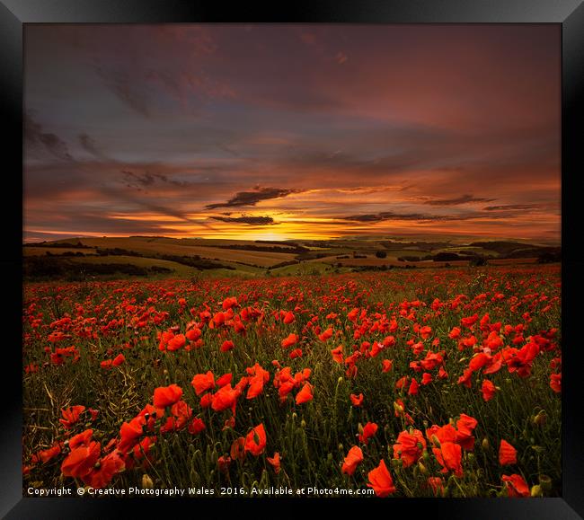 Poppy Sunrise Framed Print by Creative Photography Wales