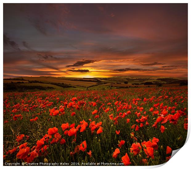 Poppy Sunrise Print by Creative Photography Wales