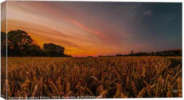 Fields of Cleadon Canvas Print by andrew blakey