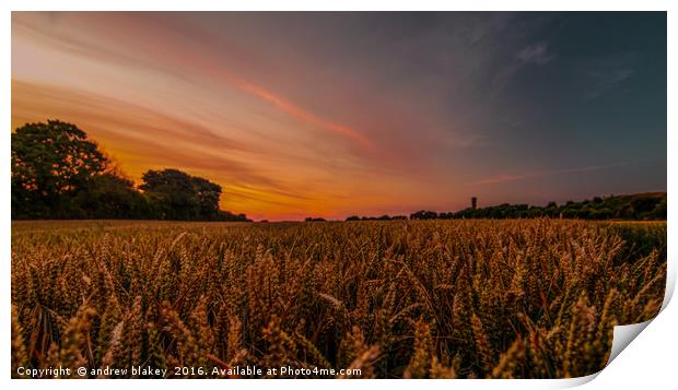 Fields of Cleadon Print by andrew blakey