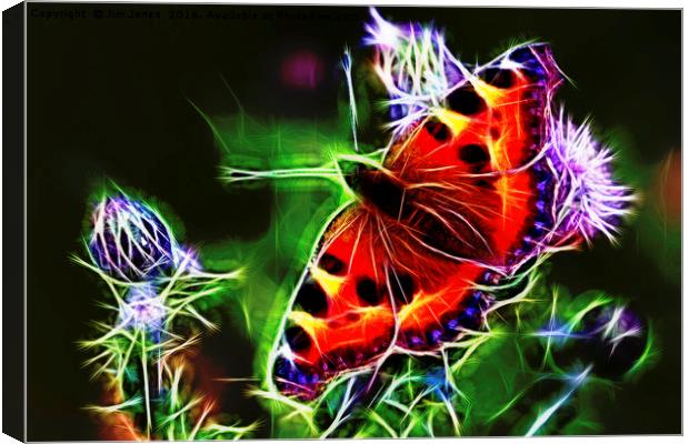 Electric Peacock Butterfly Canvas Print by Jim Jones