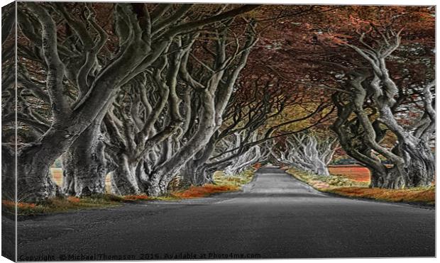 The Dark Hedges Canvas Print by Michael Thompson